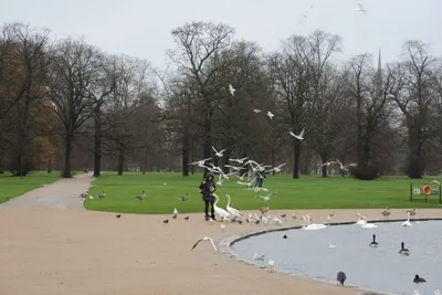 DSC_6203 (Large).JPG